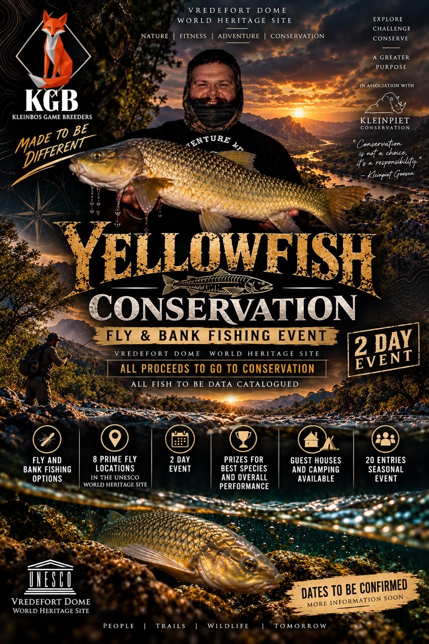 Yellowfish Conservation poster