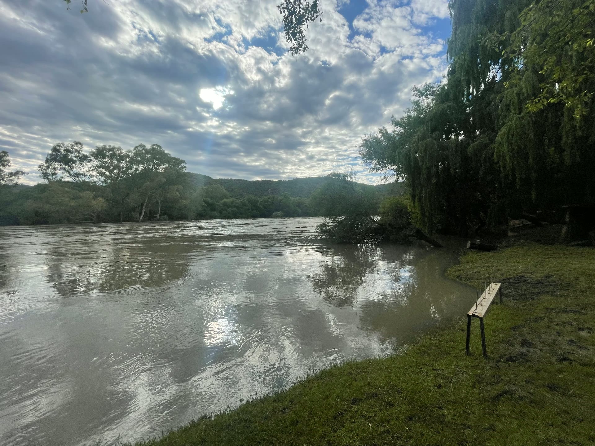 Vaal River riverbank on the KGB farm with hills behind